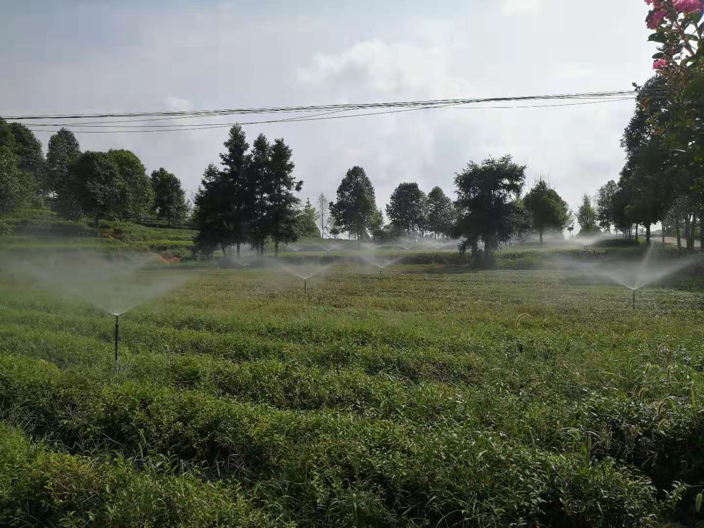 湖南农业水肥一体化灌溉,湖南别墅庭院智能灌溉,长沙沁园灌溉有限公司,湖南足球场喷灌,长沙足球场喷灌,足球场喷灌,足球场灌溉,长沙足球场灌溉,湖南足球场灌溉