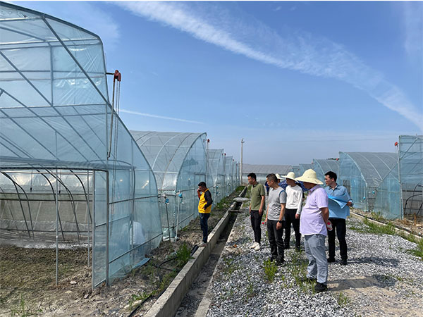 湖南农业水肥一体化灌溉,湖南别墅庭院智能灌溉,长沙沁园灌溉有限公司,湖南足球场喷灌,长沙足球场喷灌,足球场喷灌,足球场灌溉,长沙足球场灌溉,湖南足球场灌溉